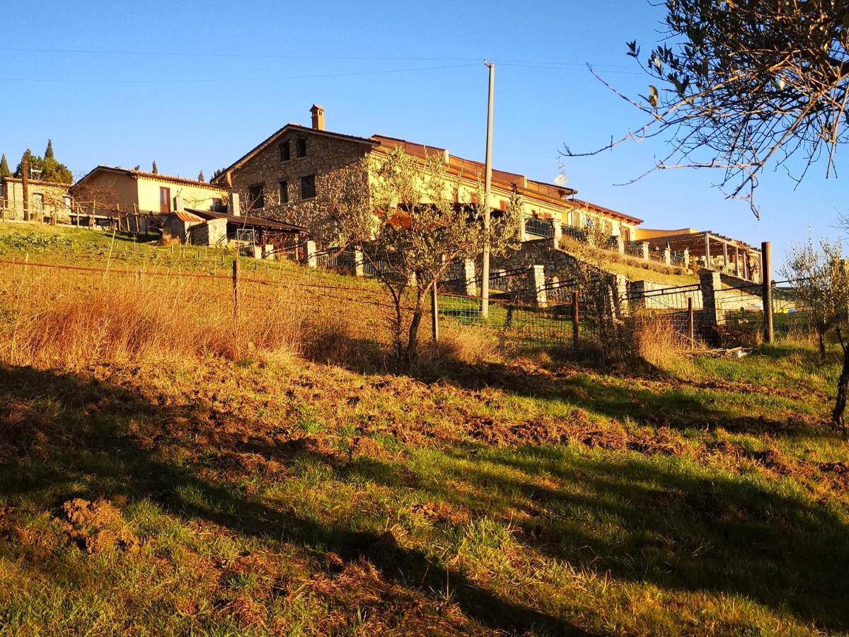 Agriturismo Olimpo Villa Santa Maria  Eksteriør bilde