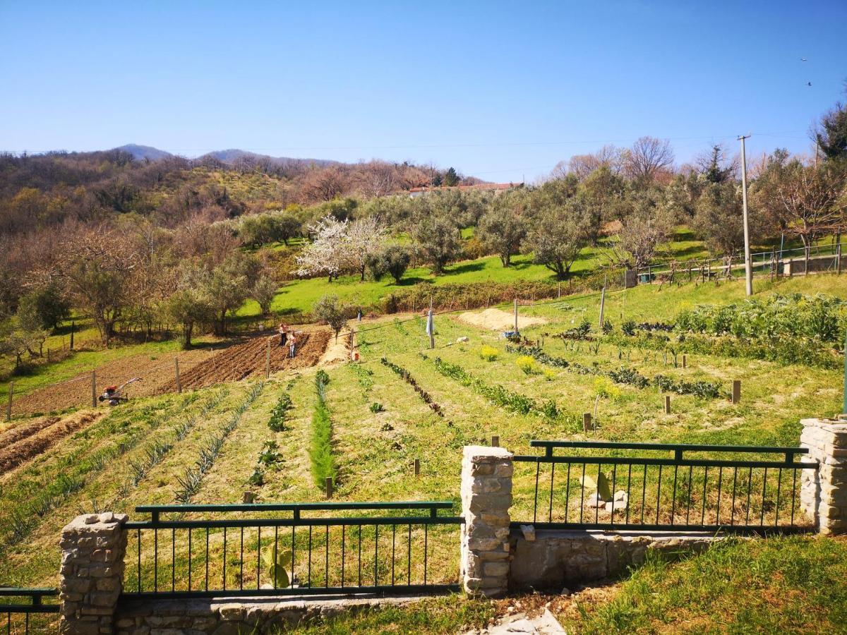Agriturismo Olimpo Villa Santa Maria  Eksteriør bilde