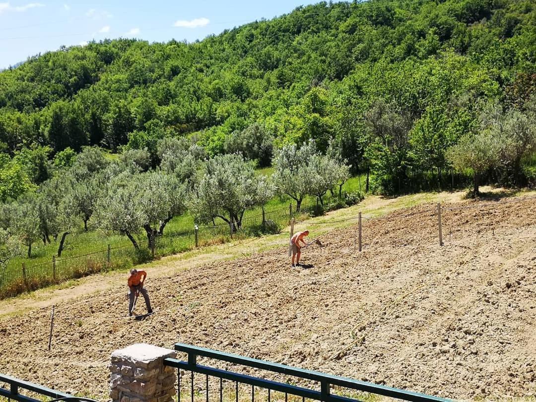 Agriturismo Olimpo Villa Santa Maria  Eksteriør bilde