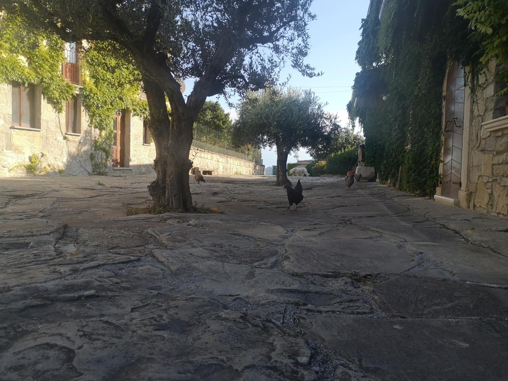 Agriturismo Olimpo Villa Santa Maria  Eksteriør bilde