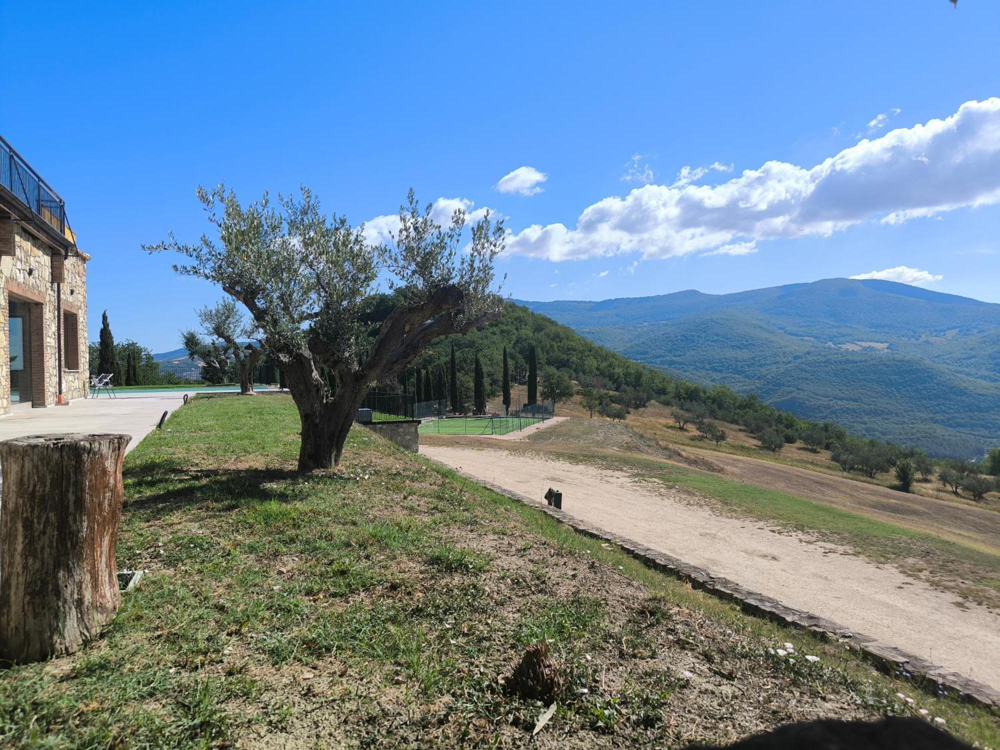 Agriturismo Olimpo Villa Santa Maria  Eksteriør bilde
